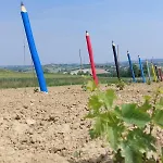 Corte Del Vigneto Nyaraló *