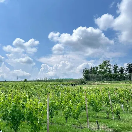 Corte Del Vigneto Vakantiehuis Montemagno (Piedmont)