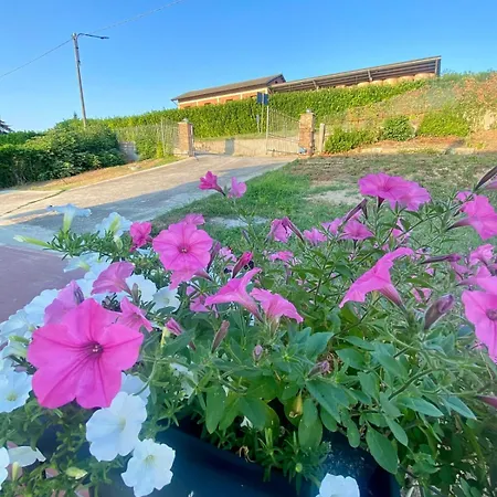 Casa vacanze Corte Del Vigneto