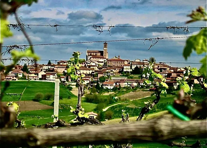 Corte Del Vigneto